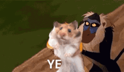 Hampter Rafiki Throwing The Hamster GIF