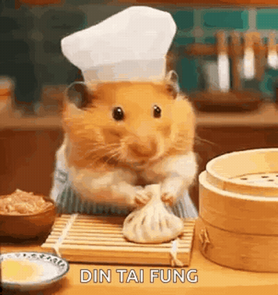 Hamster Chef Holding Dumpling