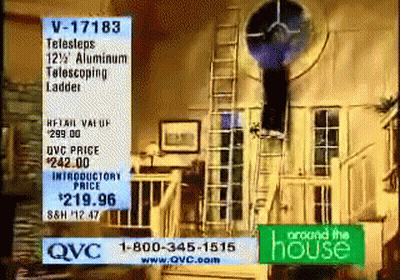 Hamster Climbing Wooden Ladder GIF