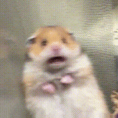 Hamster Close Up With Mouth Open GIF