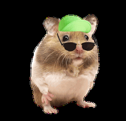 Hamster Cool Gangster Meme GIF