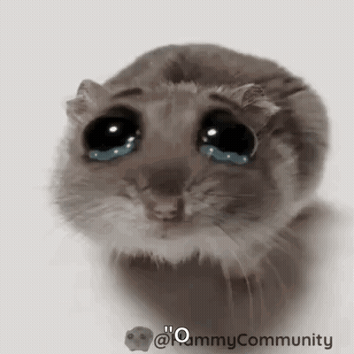Hamster Crying Tears GIF