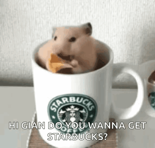 Hamster Eating Cheese In Starbucks Mug GIF