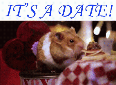 Hamster Eating Food Saying It's A Date GIF