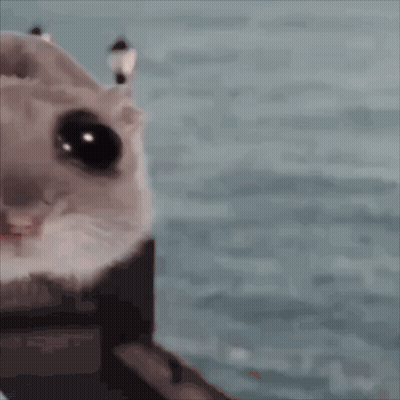 Hamster Face Saying Hammy Community GIF