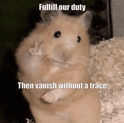 Hamster Giving Peace Sign Fulfill Our Duty Then Vanish Without A Trace GIF