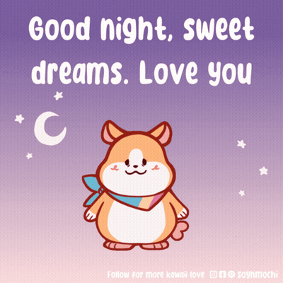 Hamster Good Night Sweet Dreams Love You GIF