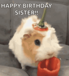 Hamster Happy Birthday Sister GIF