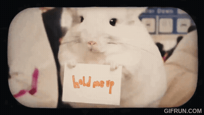 Hamster Holding Hold Me Up Paper GIF