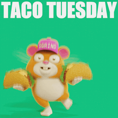 Hamster Holding Two Tacos Saying Taco Tuesday GIF