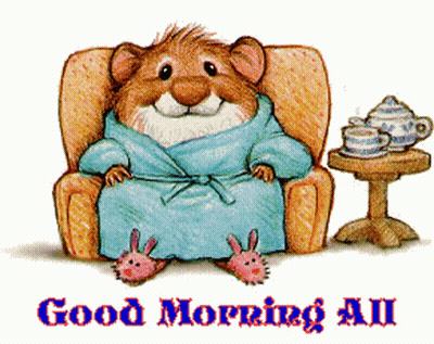 Hamster In Robe Saying Good Morning All GIF