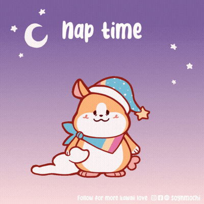 Hamster In Sleep Hat Nap Time GIF