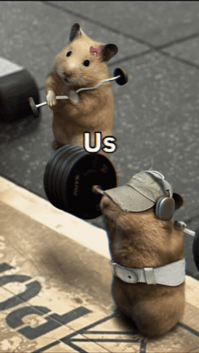 Hamster Lifting Barbell With Listening Hamster GIF