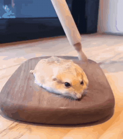 Hamster Lying On Cutting Board With Brush GIF