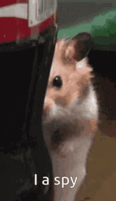 Hamster Peeking Out Behind Bag Says Im A Spy GIF