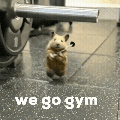 Hamster Running In Gym With Headphones GIF