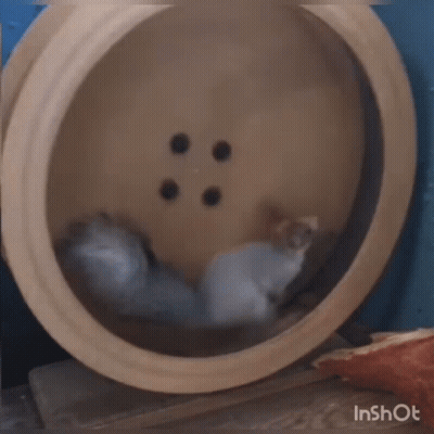 Hamster Running On Wooden Wheel GIF
