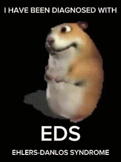 Hamster Saying Eds GIF