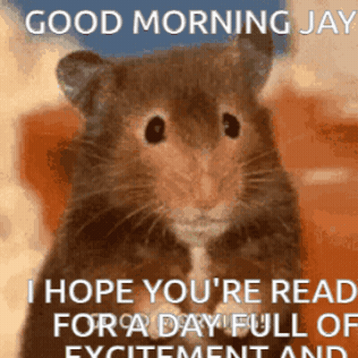 Hamster Saying Good Morning Jay GIF