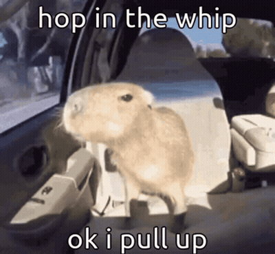 Hamster Saying Hop In The Whip GIF