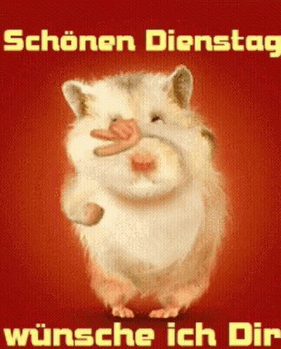 Hamster Saying Schönen Dienstag Wünsche Ich Dir GIF