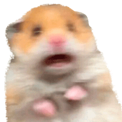 Hamster Scared Meme