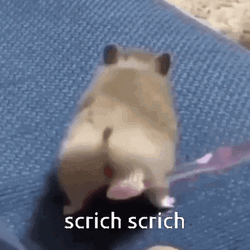 Hamster Scritch Scritch