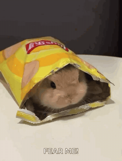 Hamster Sitting Inside Potato Chips Bag GIF