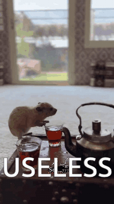 Hamster Sitting Next To Cup Of Tea GIF