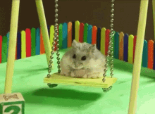 Hamster Sitting On Swing With Number 2 GIF