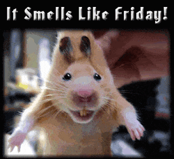 Hamster Smells Like Friday Meme GIF