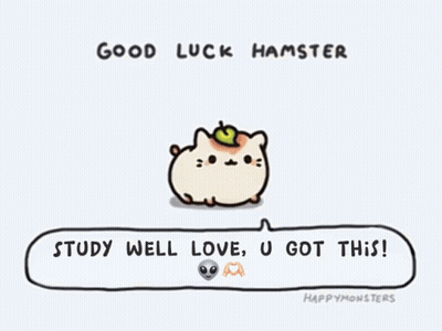 Hamster Speech Bubble Good Luck Study Love U Got This GIF
