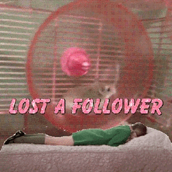 Hamster Spinning Wheel GIF