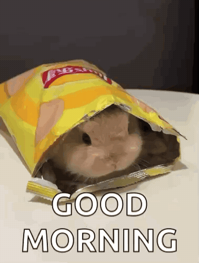 Hamster Sticking Head Out Of Chips Bag Saying Good Morning GIF