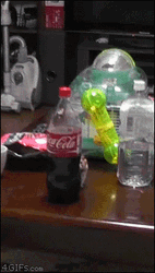Hamster Stop Dance Hides Behind Bottle GIF