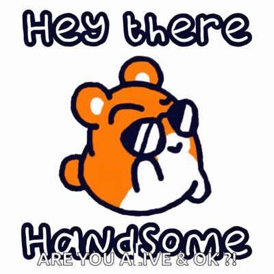 Hamster Sunglasses Hey There Handsome Are You Alive OK GIF