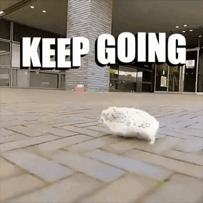 Hamster Walking On Brick Sidewalk Saying Keep Going GIF
