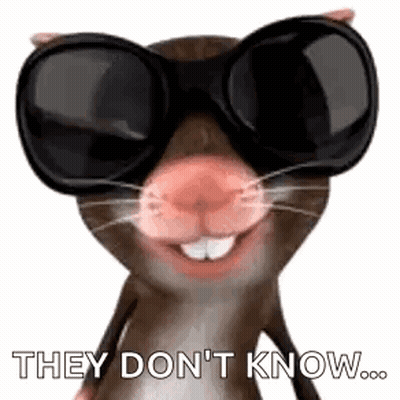 Hamster Wearing Sunglasses Saying They Don't Know GIF