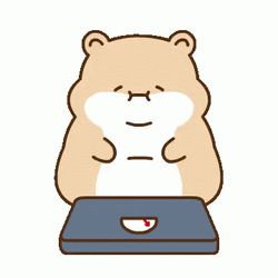 Hamster Weight Gain GIF