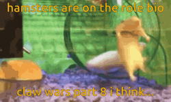 Hamster Wheel Claw Wars Meme GIF