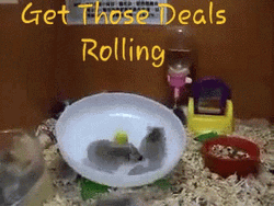 Hamster Wheel Get Those Deals GIF