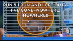 Hamster Wheel Run Secret Life GIF