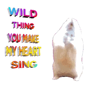 Hamster Wild Thing You Make My Heart Sing Sticker