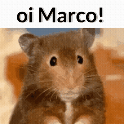 Hamster With Oi Marco GIF