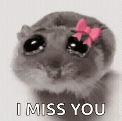 Hamster With Pink Bow Crying GIF