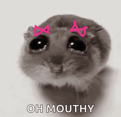 Hamster With Pink Bows Saying Oh Mouthy