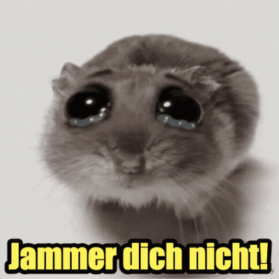 Hamster With Tears Jammer Dich Nicht GIF