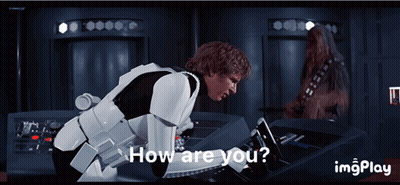 Han Solo And Chewbacca How Are You GIF