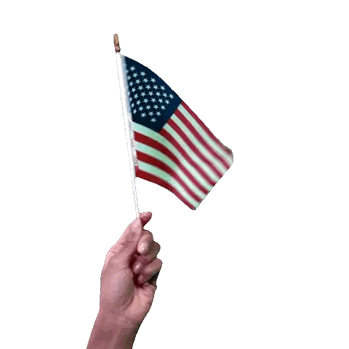 Hand Holding American Flag On Stick Sticker