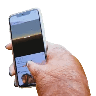 Hand Holding Cell Phone With Monkey Photo Sticker